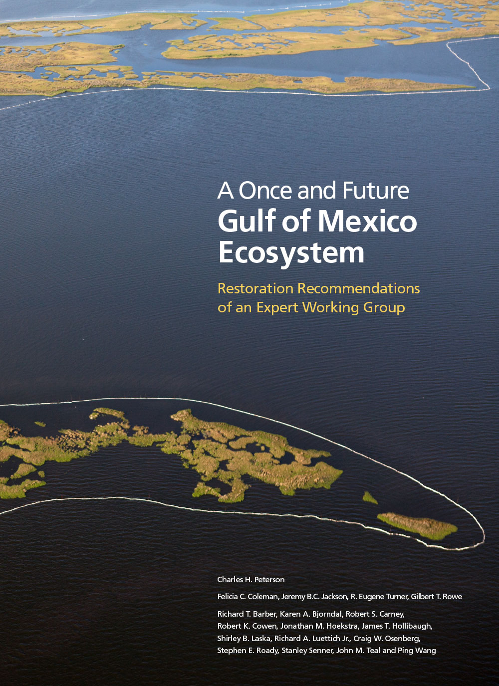 A Once and Future Gulf of Mexico Ecosystem cover