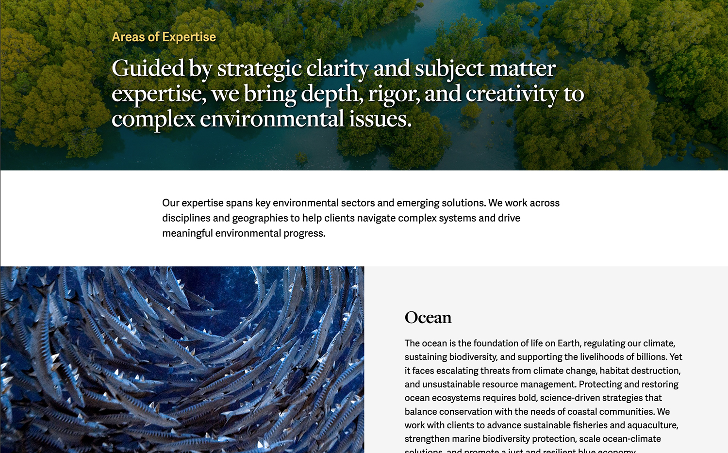 CEA website Areas of Expertise page