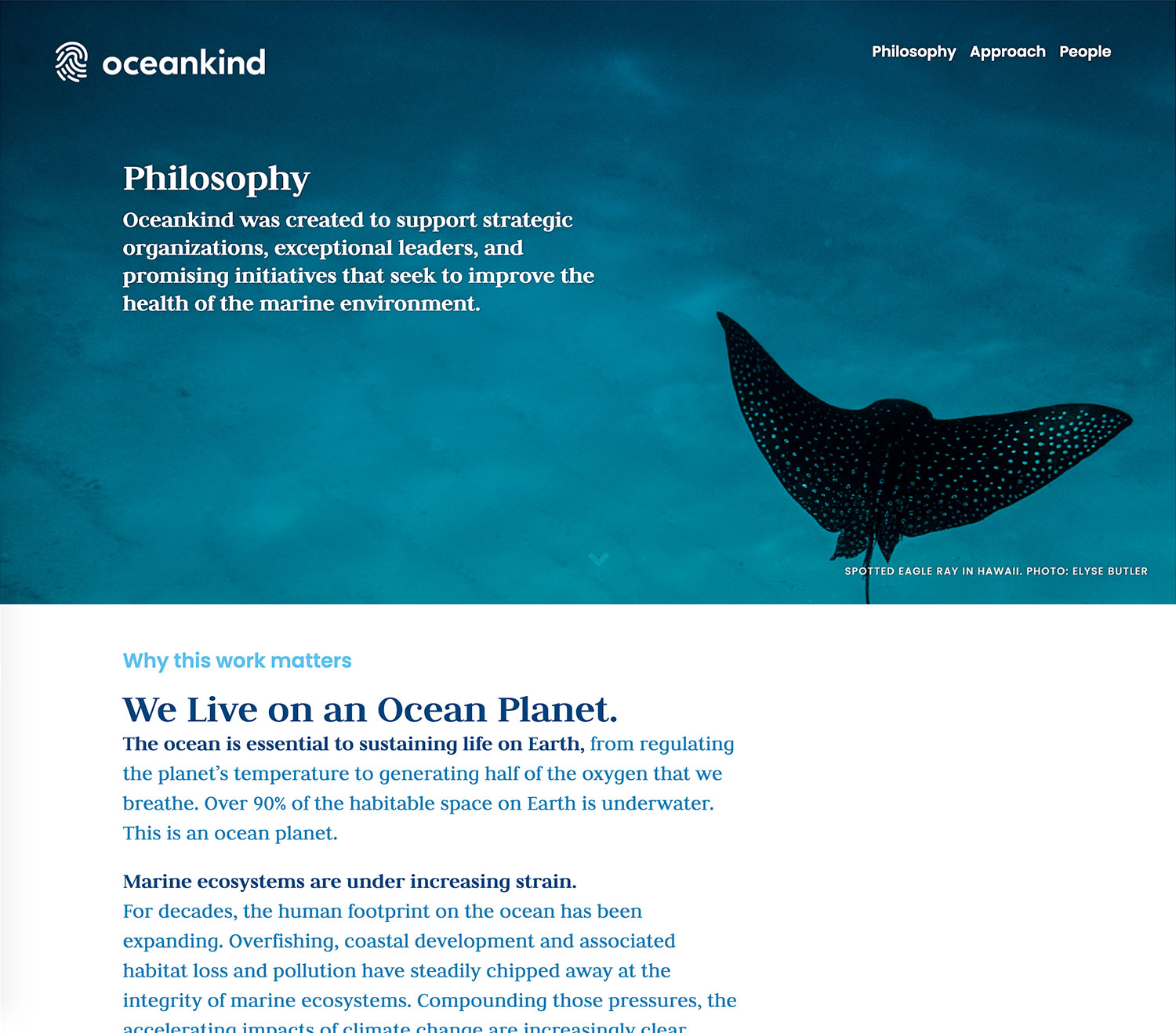 Oceankind website page