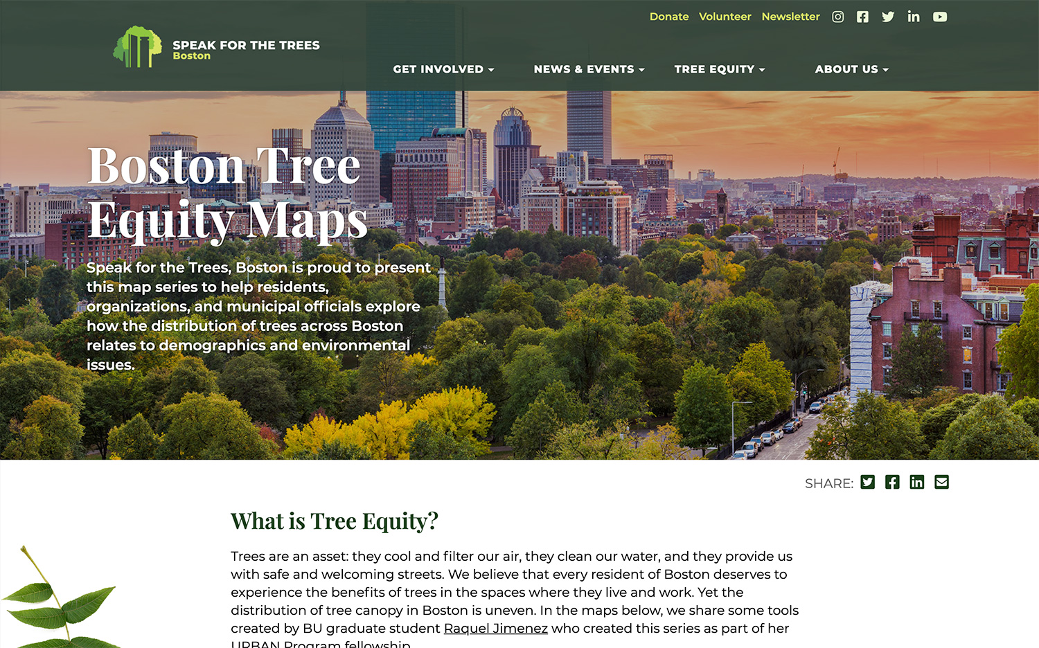 Boston Tree Equity Maps web page