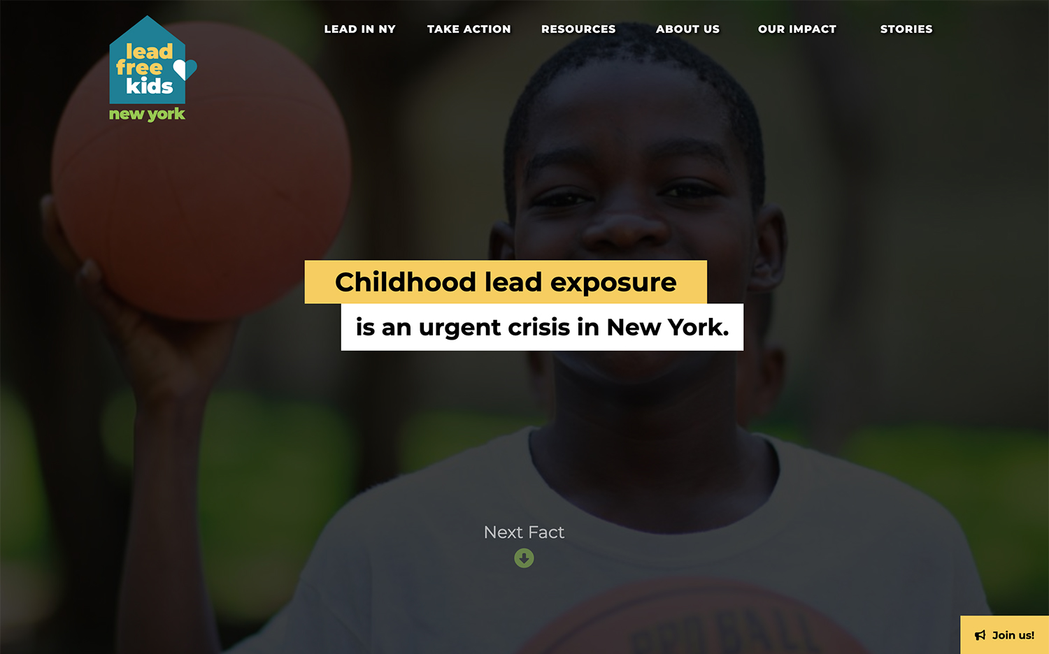 Lead Free Kids NY website