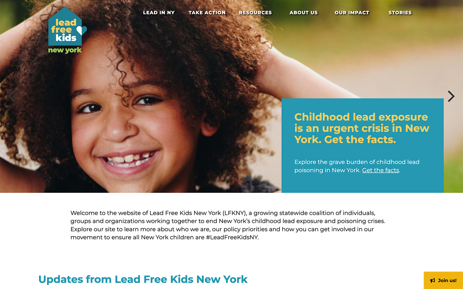 Lead Free Kids NY website pge