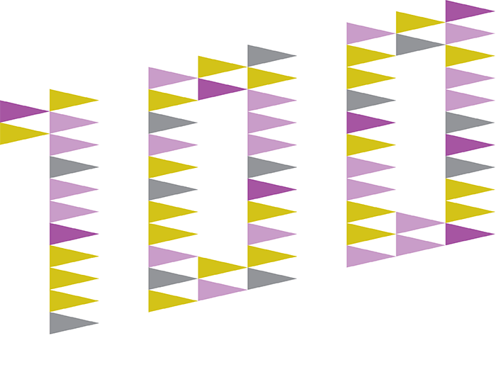 multicolor Suffragette pennants