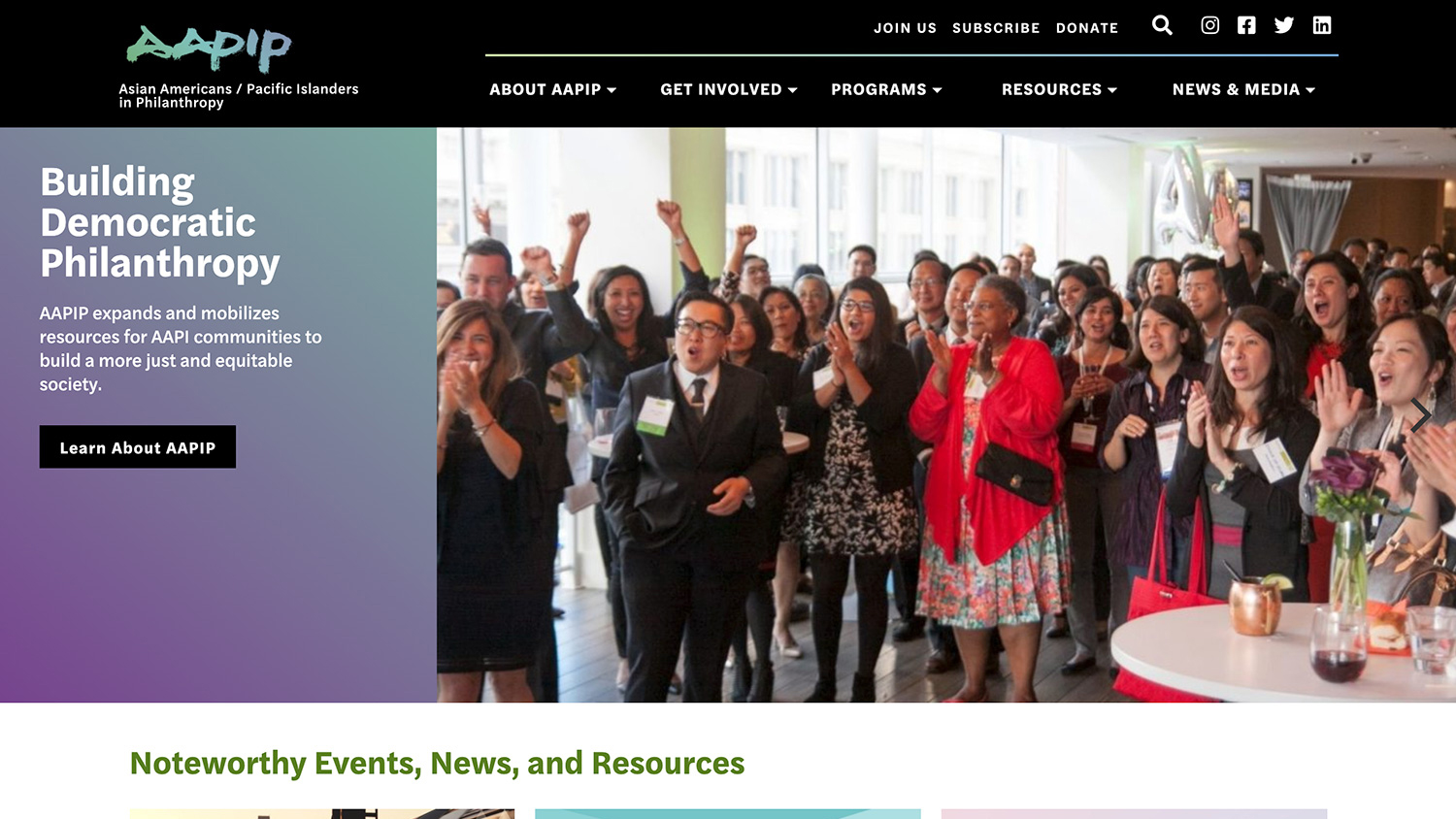AAPIP website Home page